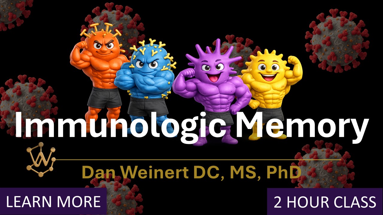 Palmer Online: Immunologic Memory
